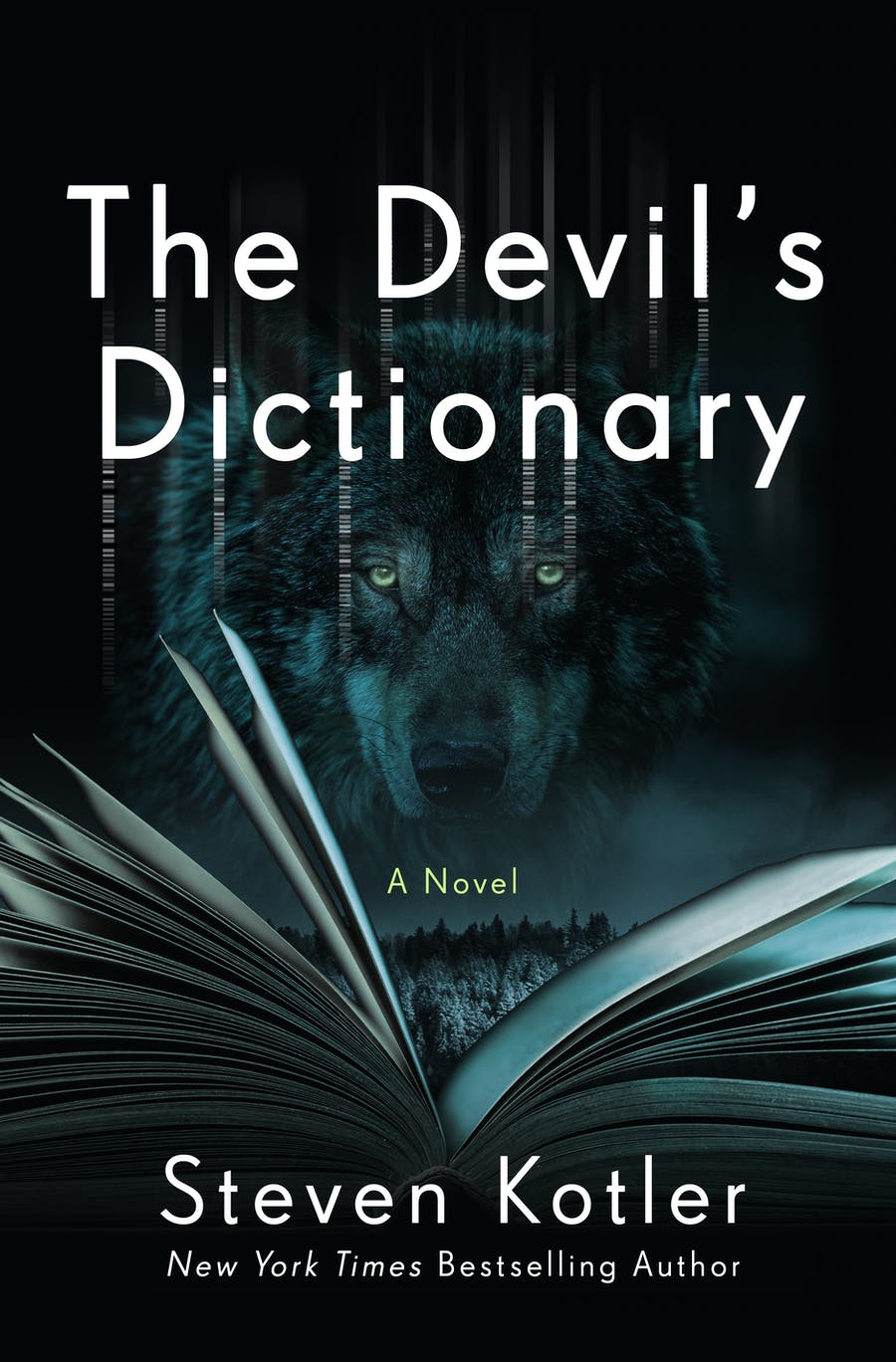the cover of the devil's dictionary novel with a wolf's head over an open book on a dark background